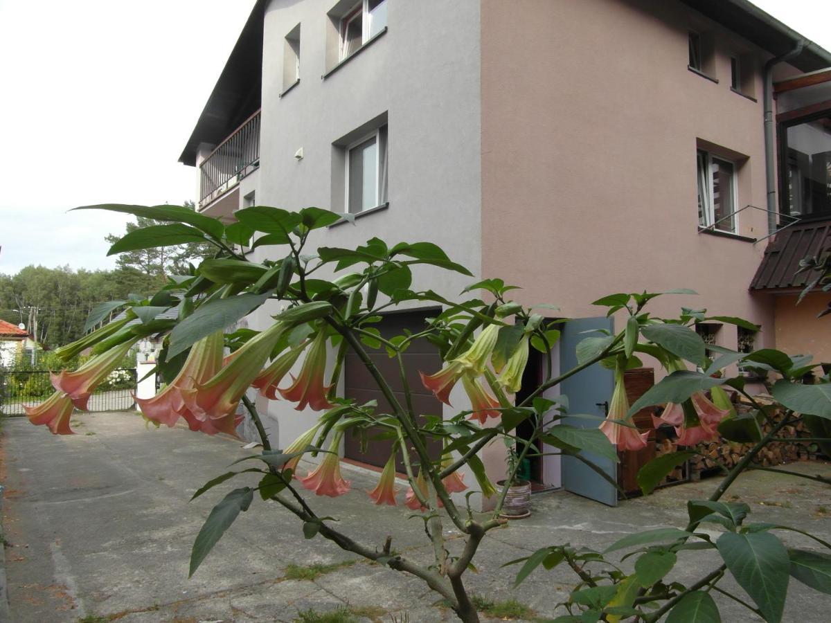 Villa Banita Ustka Esterno foto