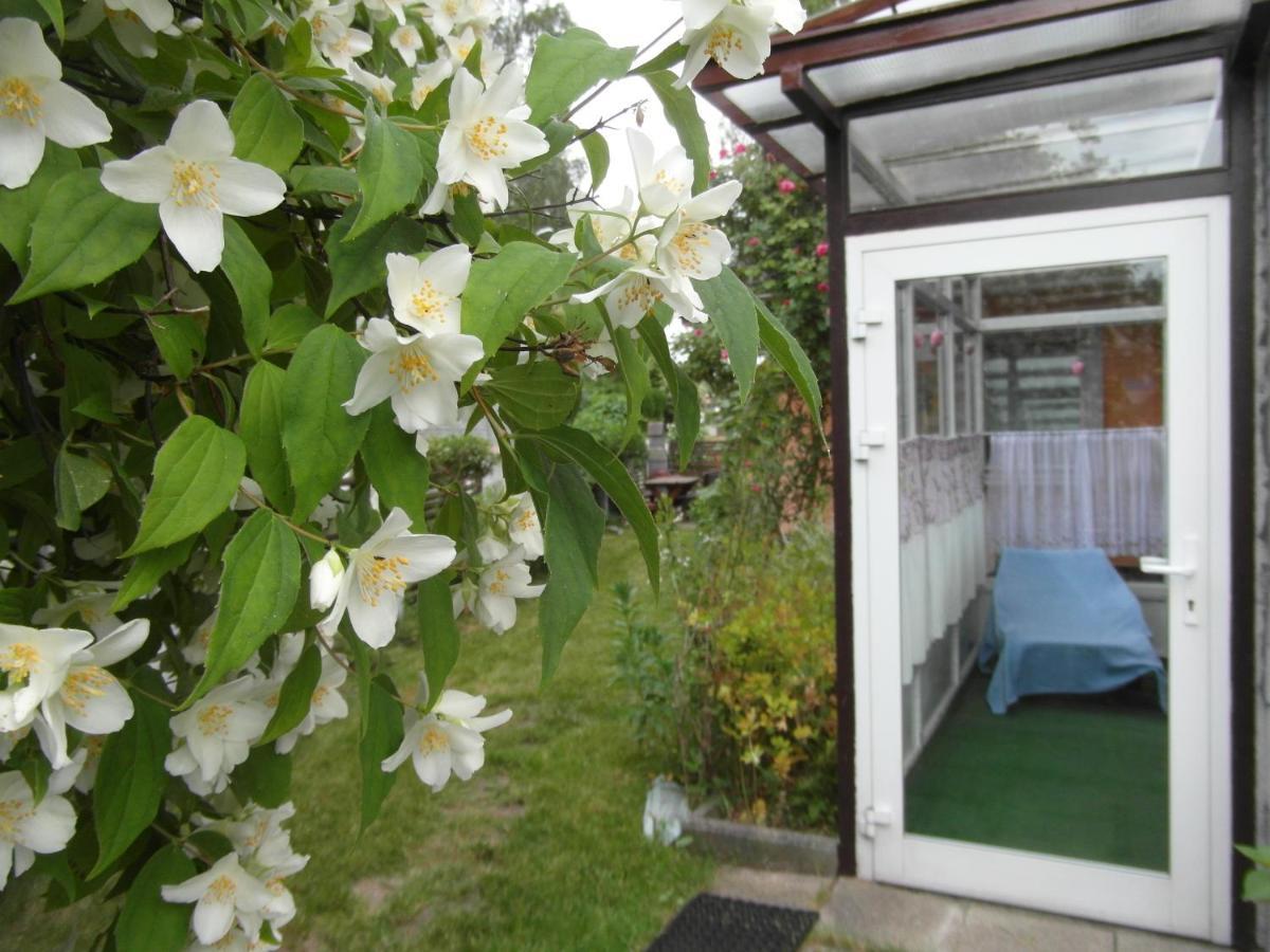 Villa Banita Ustka Esterno foto