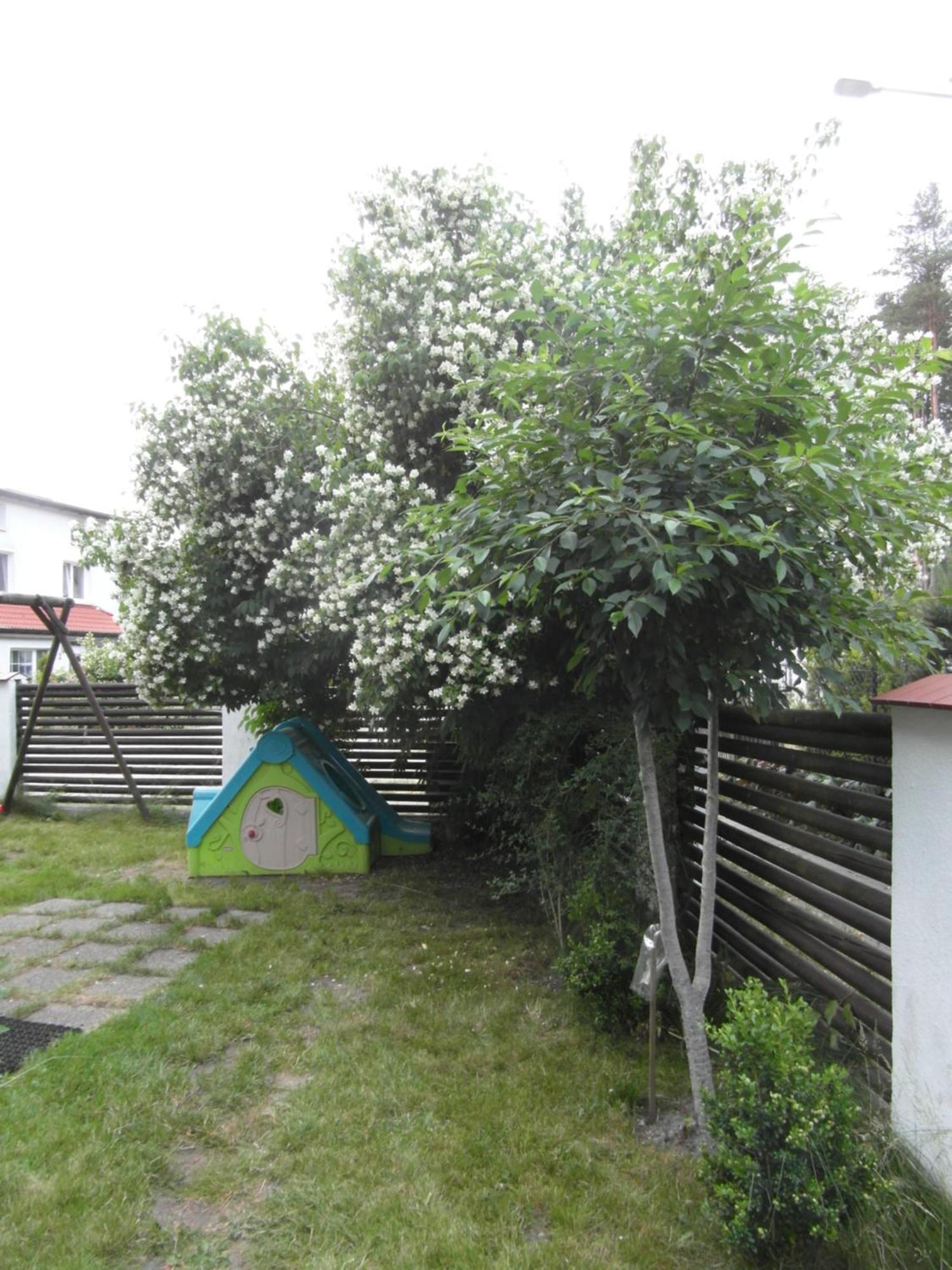 Villa Banita Ustka Esterno foto