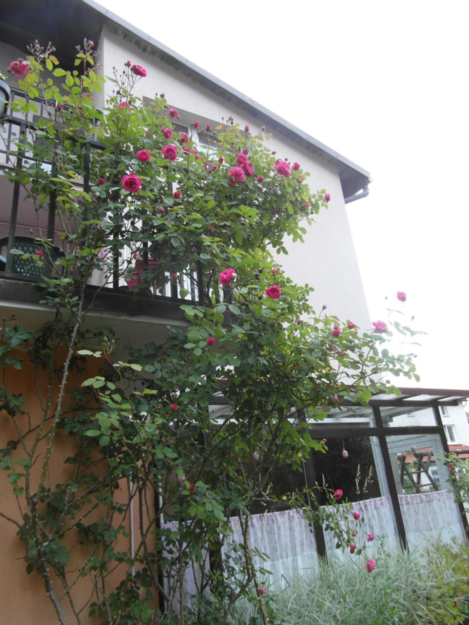 Villa Banita Ustka Esterno foto
