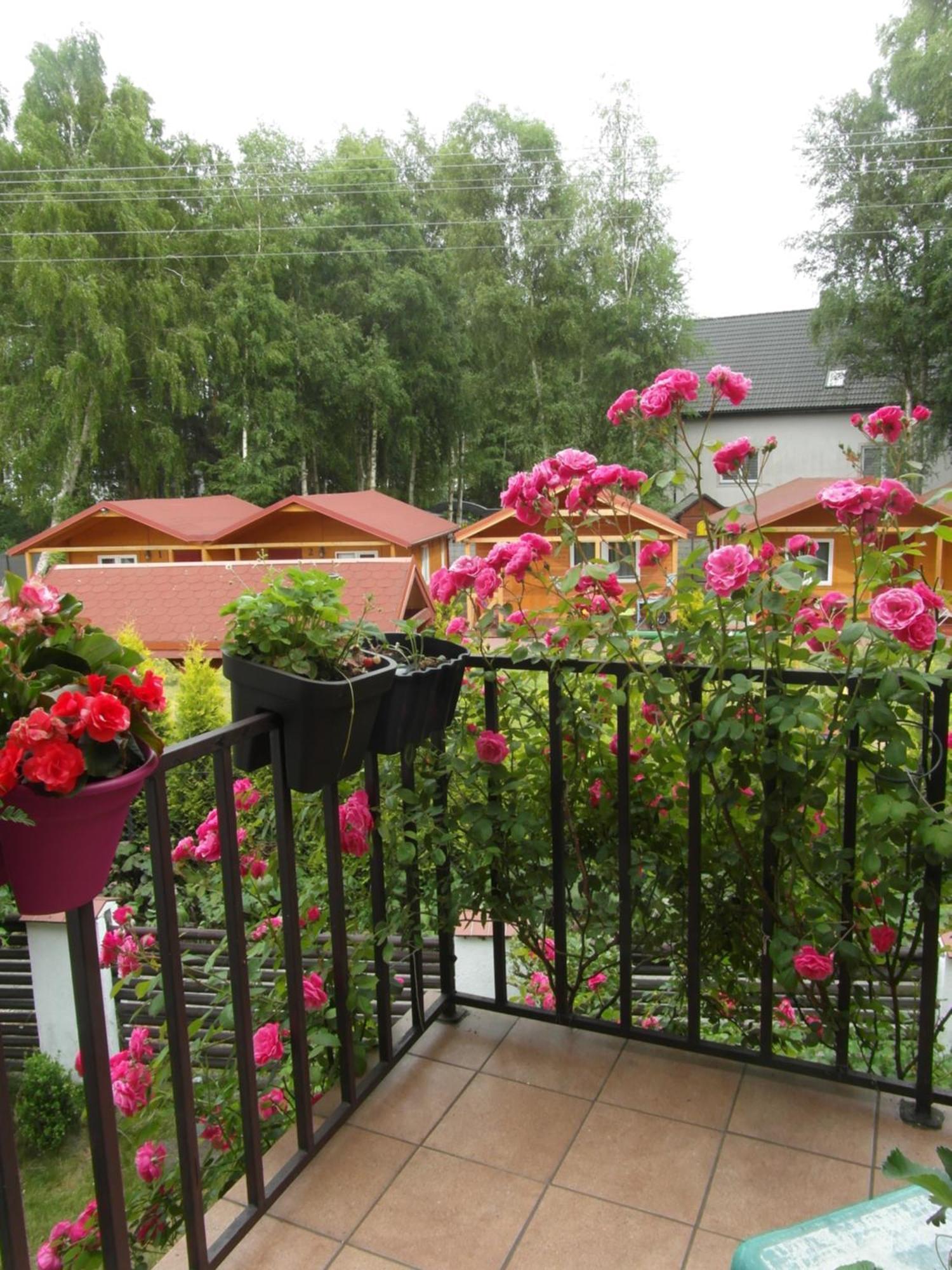 Villa Banita Ustka Esterno foto